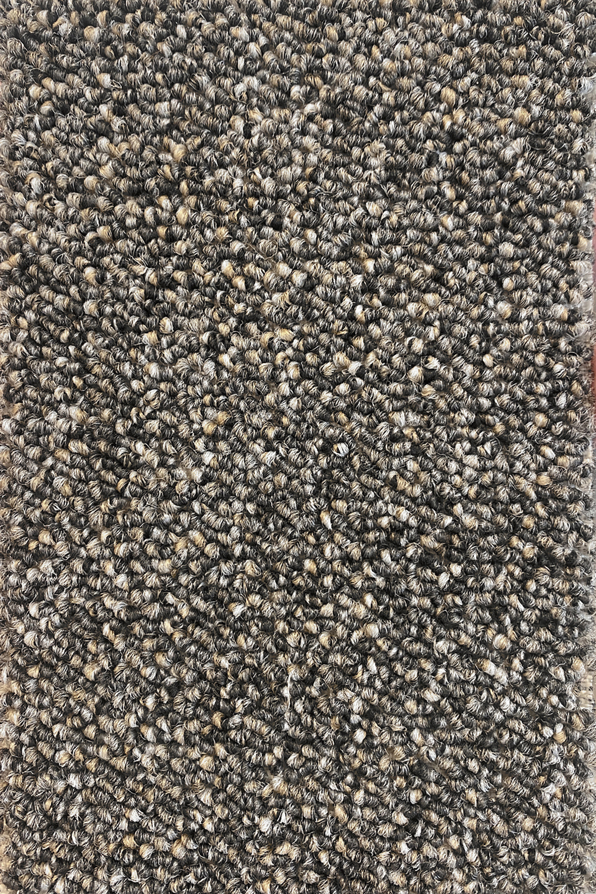 Ковровое покрытие "Bonkeel" Nero 97 (ширина 4м) — купить в Сочи