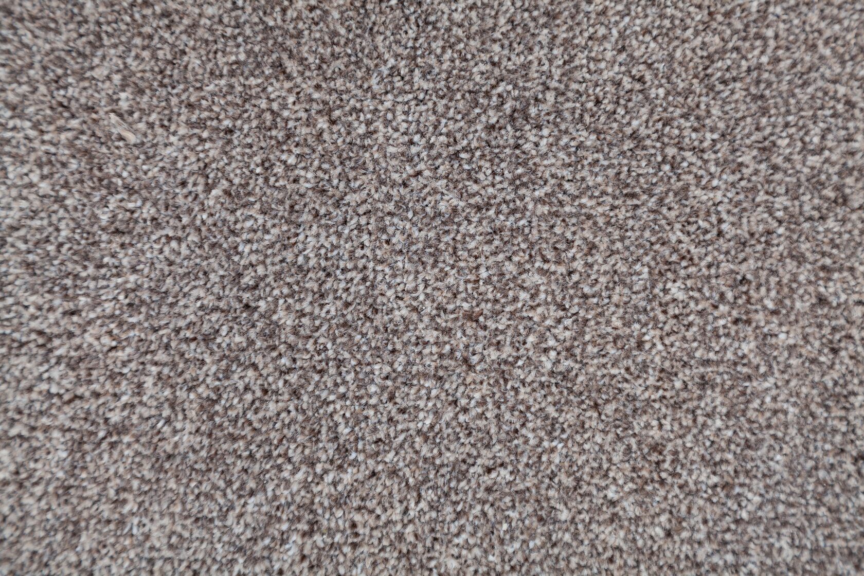 Ковровое покрытие "Bonkeel" Zodiak 39 (ширина 3м) — купить в Сочи