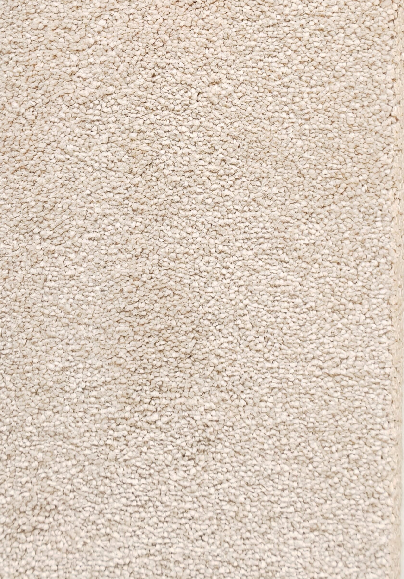 Ковровое покрытие "Bonkeel" Spirit 1000 Ivory (ширина 4м) — купить в Сочи