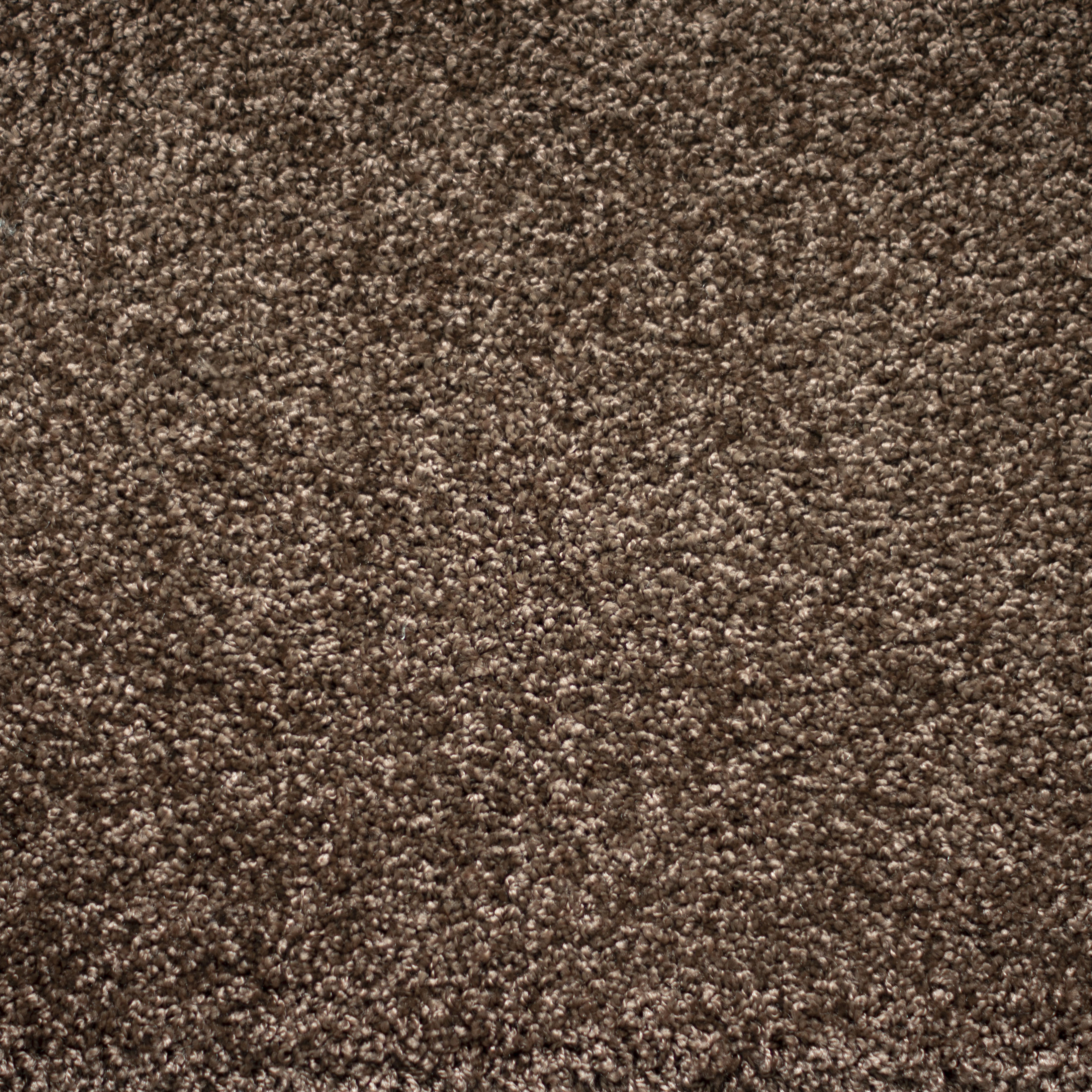 Ковролин "Зартекс" Tesoro 156 коричневый (4м) — купить в Сочи