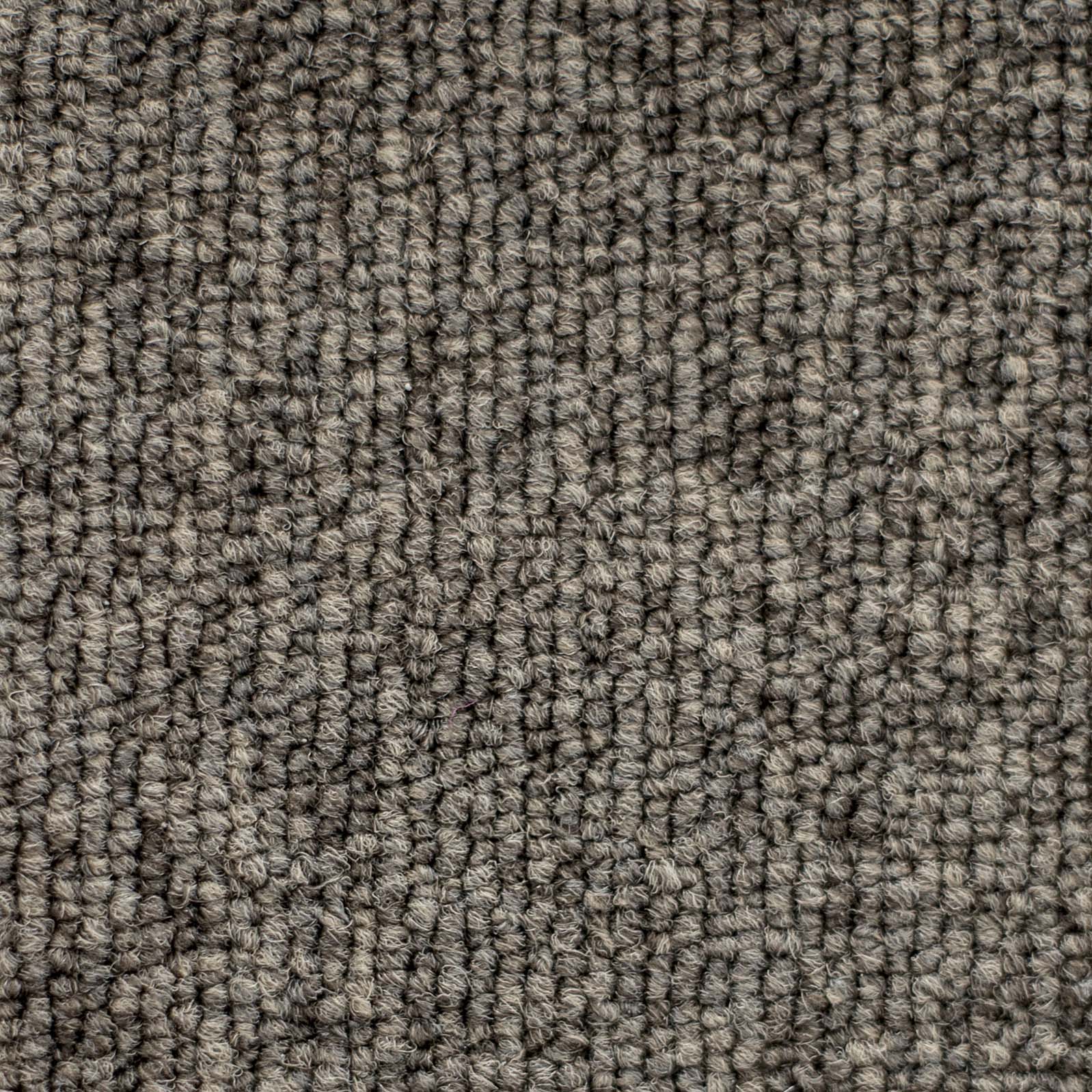 Ковролин "Зартекс" Daily 68 коричневый (4м) — купить в Сочи