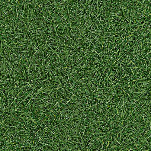 Линолеум бытовой "IVC" Neo Grass 25 (3м) — купить в Сочи