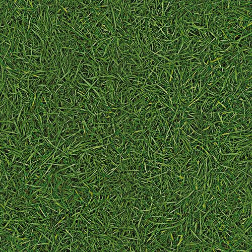 Линолеум бытовой "IVC" Bingo Grass 25 (3м) — купить в Сочи