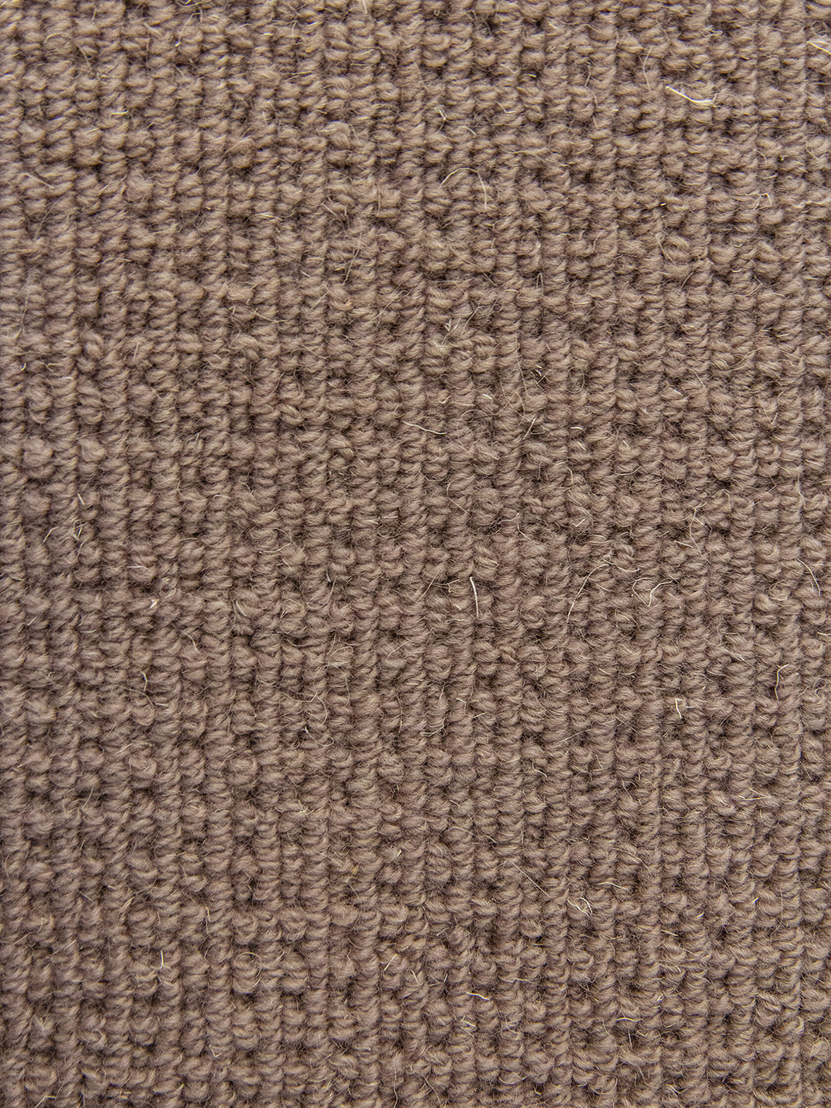 Ковровое покрытие "Bonkeel" Welfare Brown (ширина 4м) — купить в Сочи