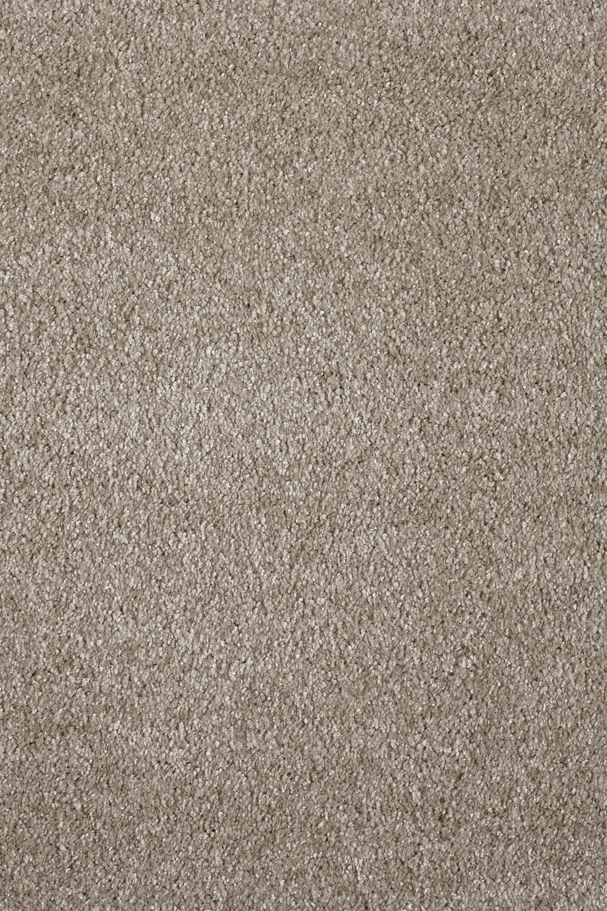 Ковровое покрытие "Bonkeel" Parana 34 (ширина 4м/5м) — купить в Сочи