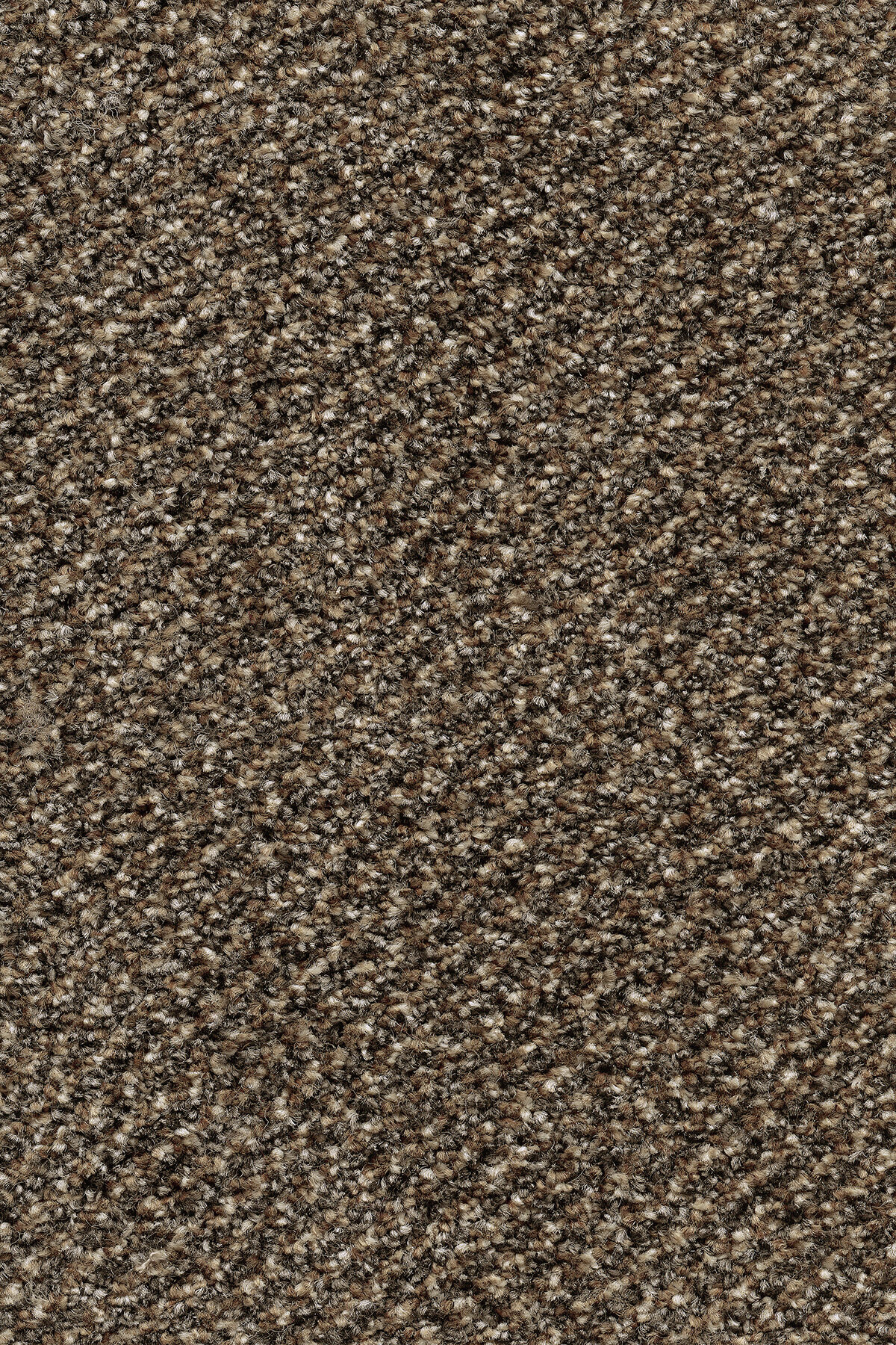 Ковровое покрытие "Bonkeel" Stainaway Tweed 48 (ширина 4м) — купить в Сочи