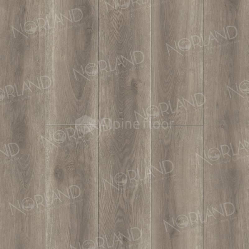 SPC Ламинат "Norland" Templet (1220*196*8 мм) — купить в Сочи