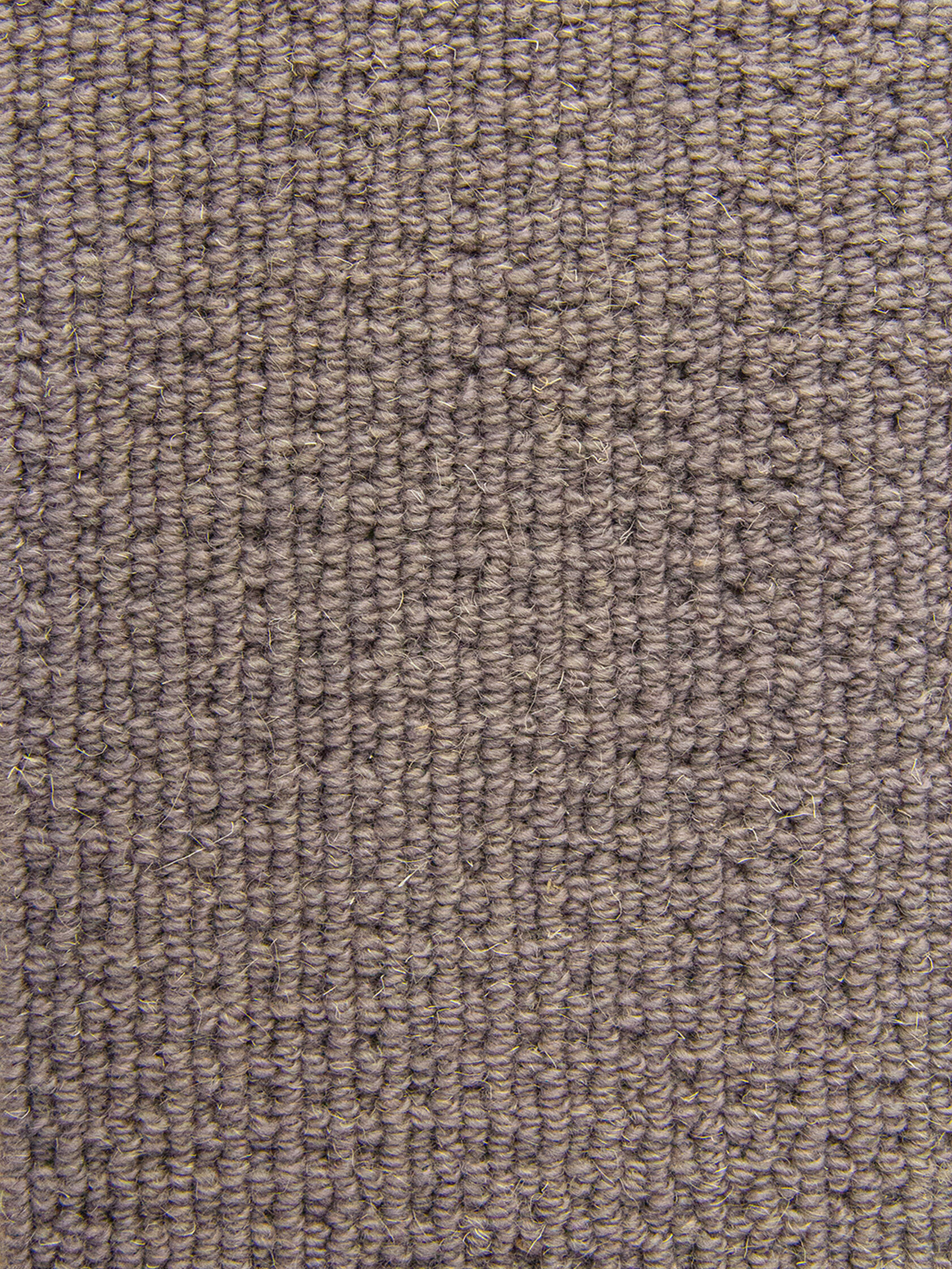 Ковровое покрытие "Bonkeel" Welfare Grey (ширина 4м) — купить в Сочи