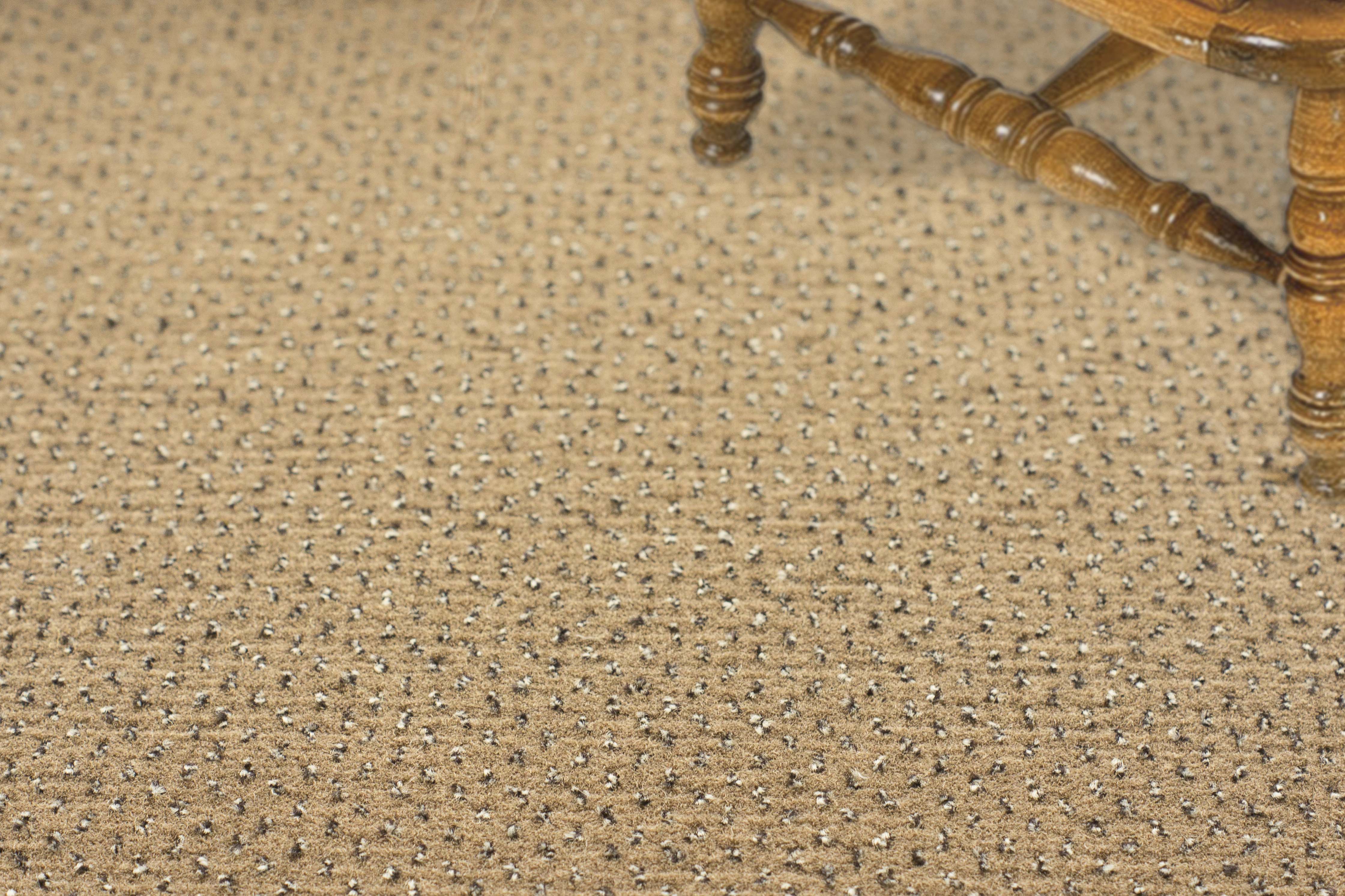 Ковролин "Зартекс" Eternity 142 бежевый (4м) — купить в Сочи