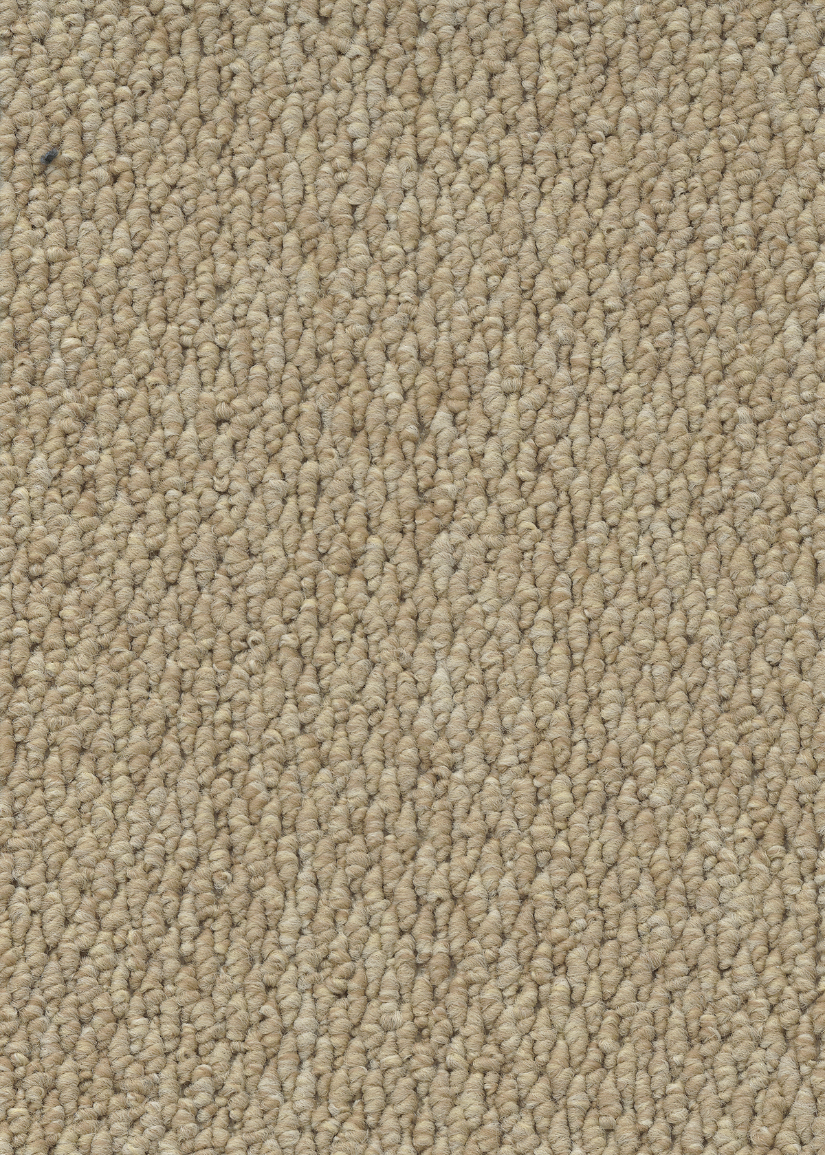 Ковровое покрытие "Bonkeel" Skye 50 (ширина 4м) — купить в Сочи