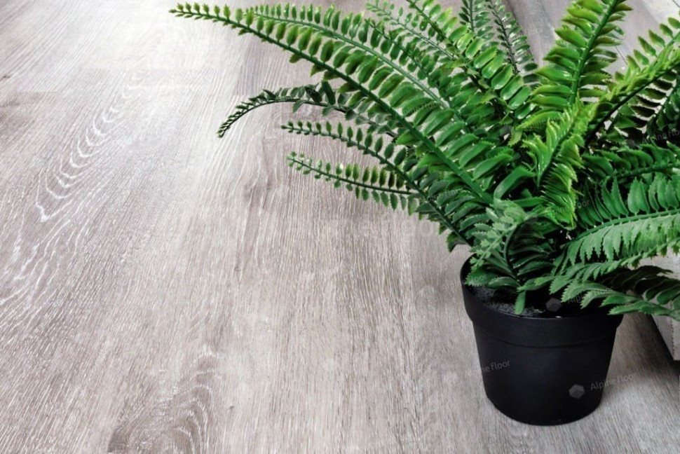 Виниловый ламинат "Alpine Floor" Classic Light MC Ясень Серый (1220*183*3,5 мм) — купить в Сочи