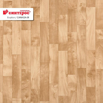 Линолеум бытовой "Синтерос" Eruption Canada 01 (2,5м) — фото и характеристики